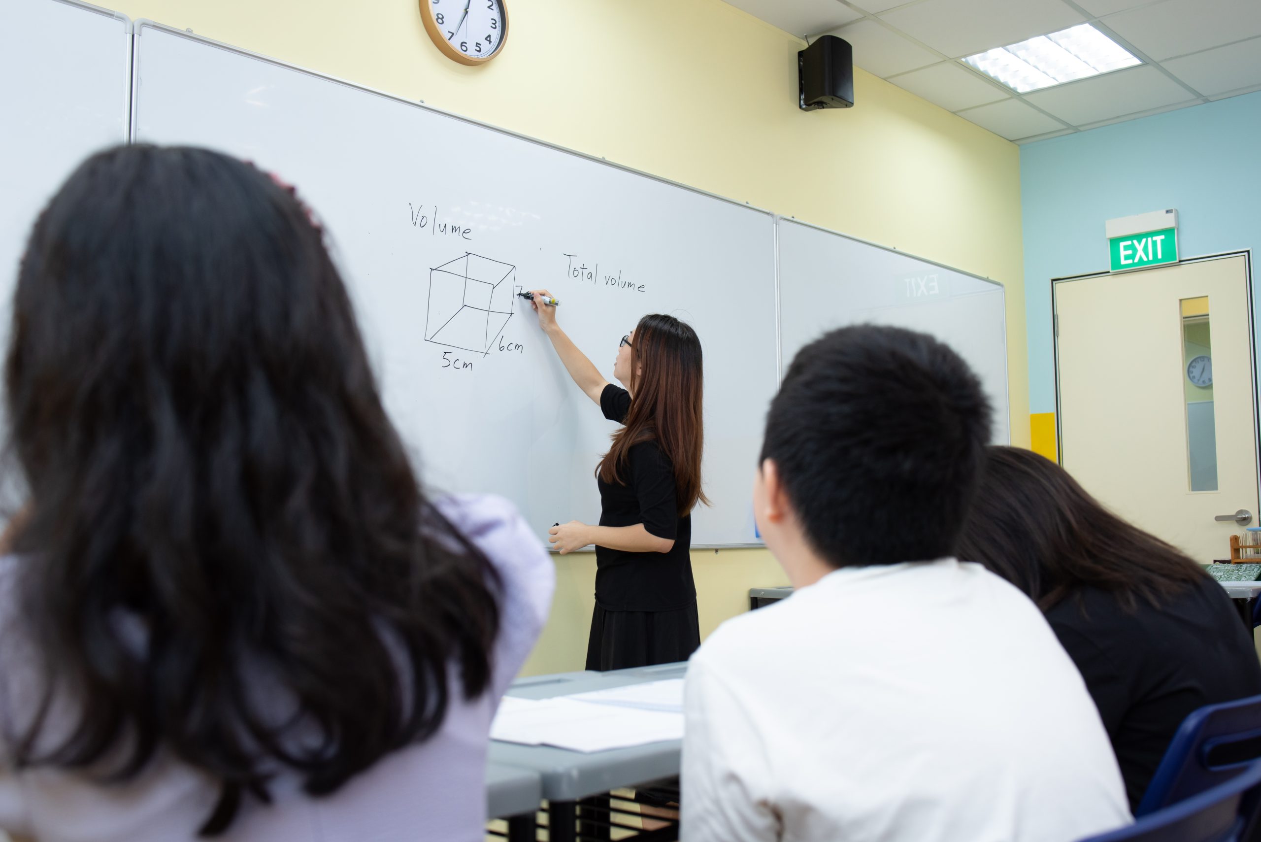 revision techniques for psle science